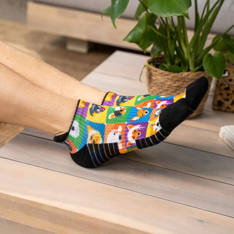 Dogs Ankle Compression Socks - Image 3